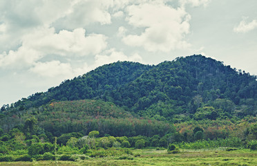 Fototapeta na wymiar Thai Mountains