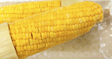 Closeup sweet corn