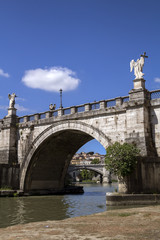 Obraz premium Tevere river, its bridges and city view