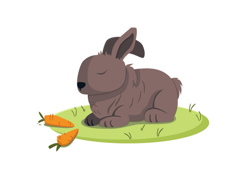 Adorable rabbit vector image illustration with carrots on outdoor environment