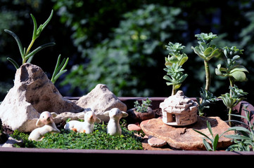 Miniature Mediterranean pot garden