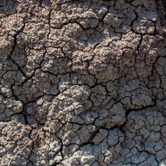 Cracked and dry dirt for a textured background