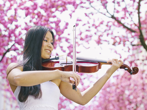 Female viola player in front of blossoming cherry tree