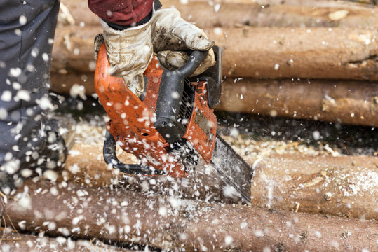 Germany, Muehlenbach, logger's hands sawing tree trunk with motor saw