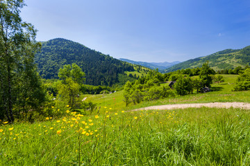 Fototapeta na wymiar Meadows in the Carpathians