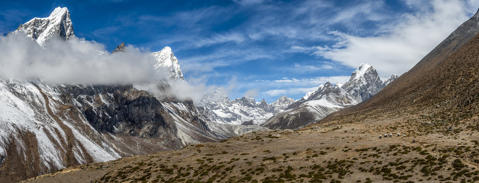 Nepal, Khumbu, Everest region, Dughla, yaks with loads, Lobuche peak, Arakam Tse peak, Cholatse peak