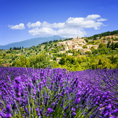 Fototapeta premium Lavender field and village, France.