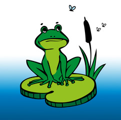 drawing Frog and mosquitos