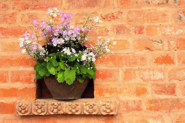 Flowerpot with white and lilac flowers