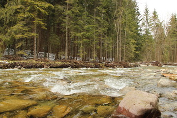 Dolina Chochołowska © wesley1957