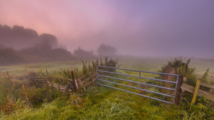 Misty Farmland gate