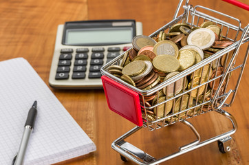 Einkaufswagen gefüllt mit Geld