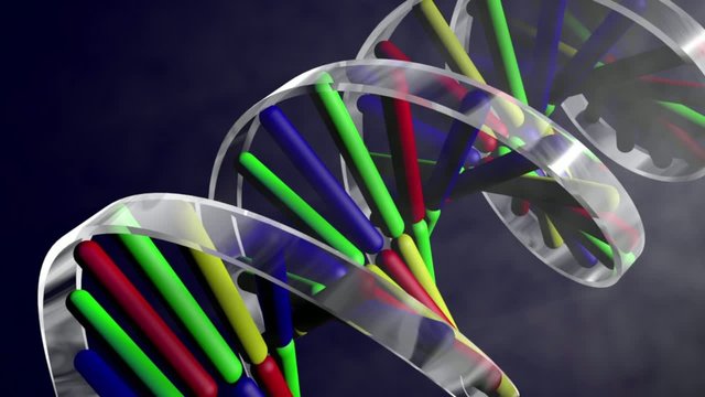 3D medical animation rotating DNA string