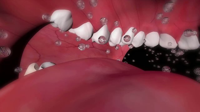 3D medical animation explaining the influenza virus and the function of neuraminidase inhibitors.
Part 1: breathing in saliva droplets infecting mucosal cells and penetrating the epithelial layer.