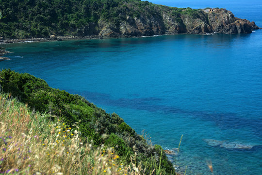 Costa