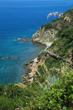 Costa