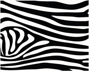 Print pattern,  skin of zebra, vector illustration
