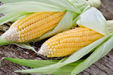 Sweet corn closeup
