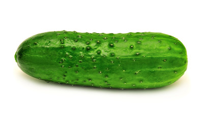 Cucumber