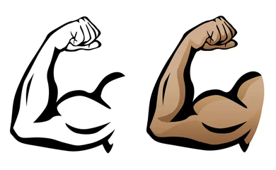 Foto op Canvas Muscular Arm Flexing Bicep Isolated Vector Illustration © hobrath