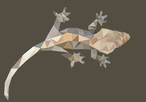 Abstract Low Poly Gecko, Crested gecko (Correlophus ciliatus) - Vector Illustration