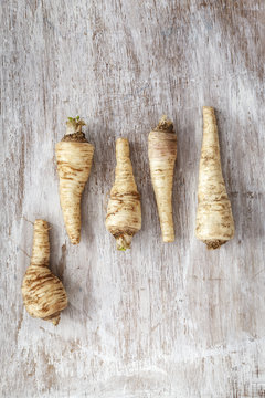 Parsley roots on wood