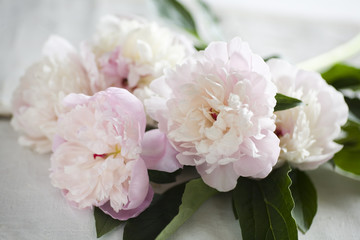 Peonies