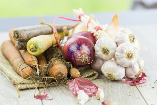 Different sorts of organic carrots, red and white onions and garlic