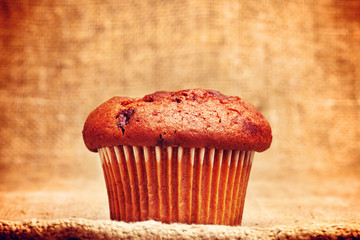 Chocolate Chip Muffin