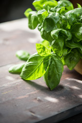 Fresh organic basil