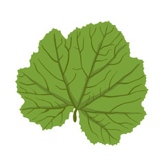 Fototapeta premium Green leaf of plant, vector illustration