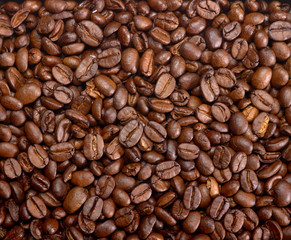 roasted coffee beans
