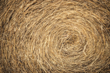 Background with detail of roll of straw
