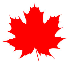 maple leaf red