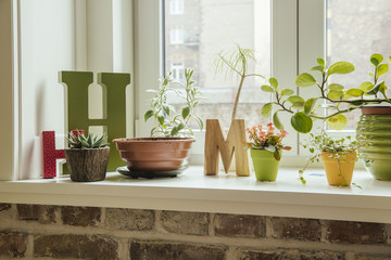 Window sill with plants and letters H and M