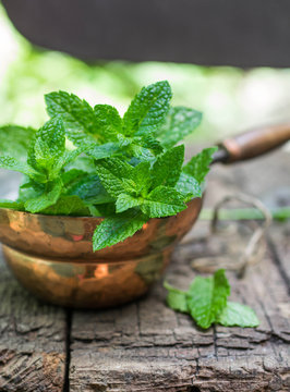 Fresh mint on a wooden table. The rustic style. Selective focus