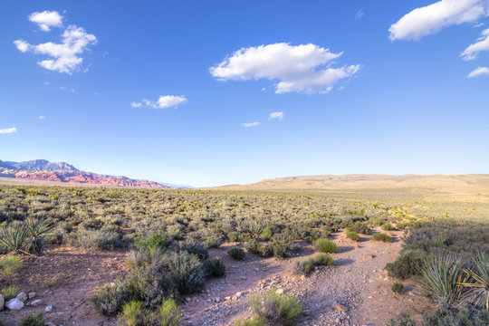 Nevada Desert Landscape And Cloudscape