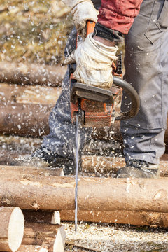 Germany, Muehlenbach, logger sawing tree trunk with motor saw
