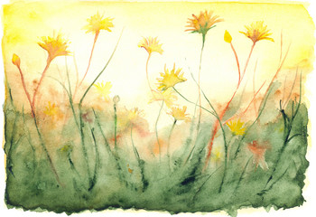 Yellow sun shine dandelions field landscape