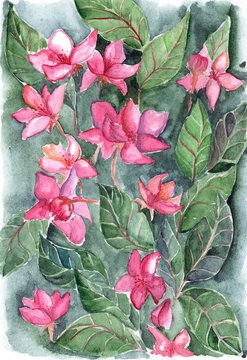 Pink flowers leaf floral texture background