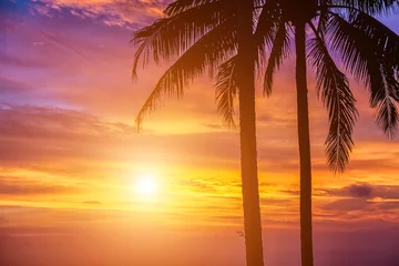 Papier Peint photo Lavable Mer / coucher de soleil Palms at sunset