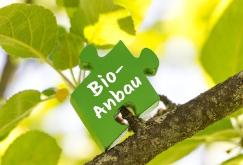 Bio-Anbau Puzzle auf Apfelbaum