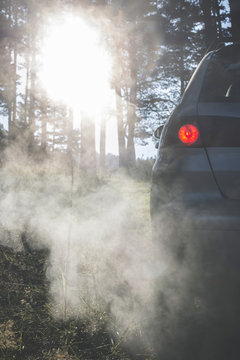 Car in the woods with smoke from exhaust