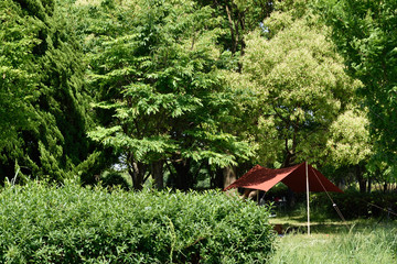 森の中のテント