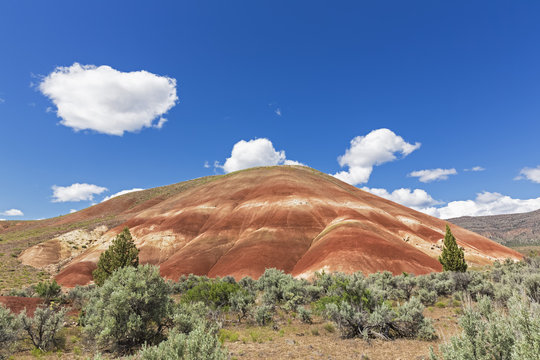 USA, Oregon, John Day Fossil Beds National Monument, Painted Hills