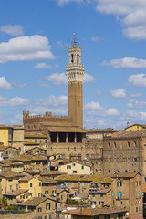 Fototapeta premium campanile di siena 4
