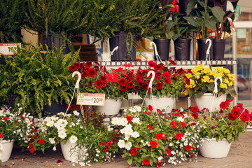 flowers in pots in front of the store