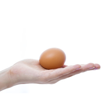 Female hand with a brown chicken egg