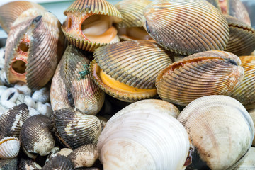 clams Seafood shellfish