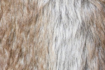 Fur texture
